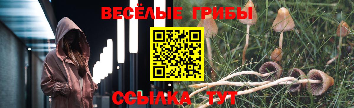 Псилоцибиновые грибы мицелий  Вход с VPN  Волжск  Галлюциногенные грибы GOLDEN TEACHER 