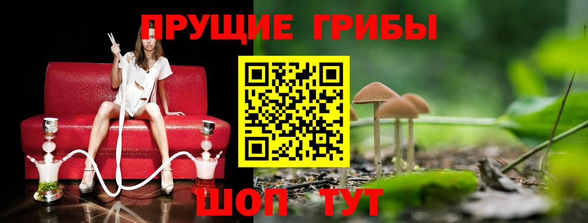 Галлюциногенные грибы MAGIC MUSHROOMS Волжск